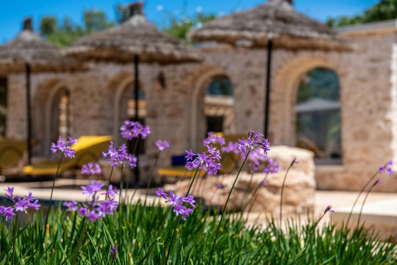 Absolu Beldi Essaouira B&B 외부 사진